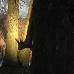 Διαμέρισμα Roeblinseeterrassen Fürstenberg-Havel