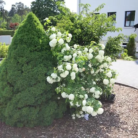 Apartment Röblinseeterrassen Fürstenberg-Havel