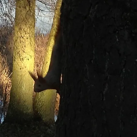 Apartment Röblinseeterrassen Fürstenberg-Havel