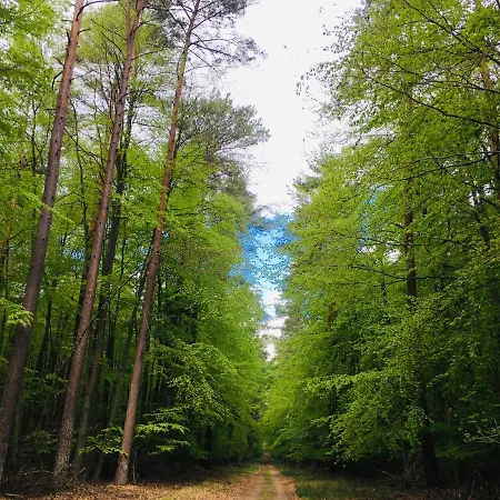 Appartement Roeblinseeterrassen