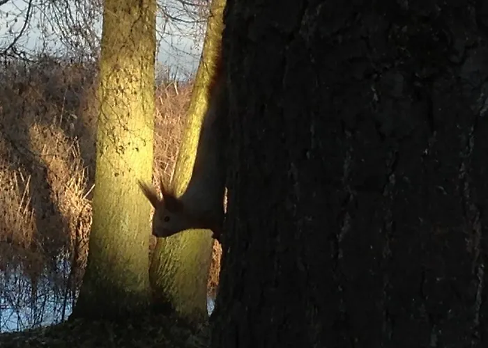 Apartamento Roeblinseeterrassen Fürstenberg-Havel