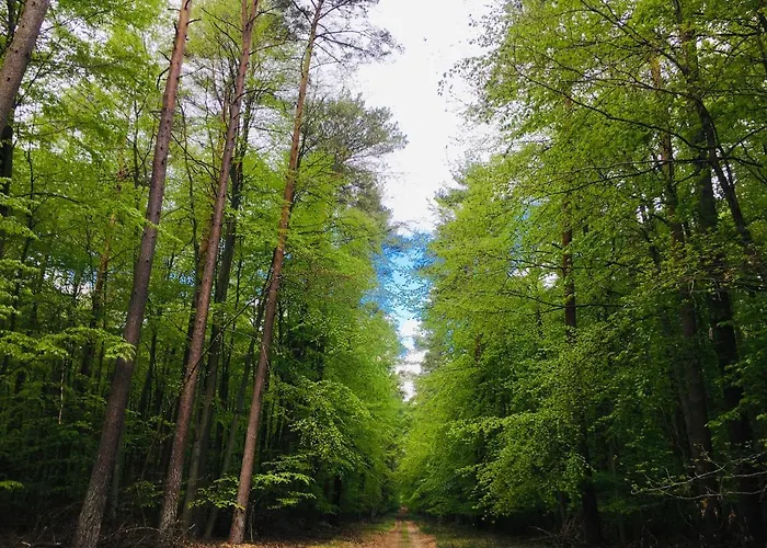 Lejlighed Roblinseeterrassen